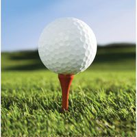 Club Pack of 216 Sports Fanatic Golf Premium 2-Ply Disposable Lunch Napkins 6.5"