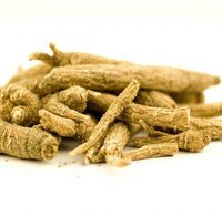 Xi Yang Shen Chinese Herb | Cultivated American Ginseng Root - Suitable to Tonify Yin, Clear Fire or Generate Fluids - Medicinal Grade Chinese Herb 1 Lb - Plum Dragon Herbs
