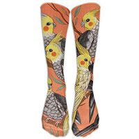 LXP FZD Cockatiel Fun Womens Athletic Crew Socks Fashion Boot Socks Long Socks Lightweight High Tube Socks