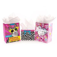 Hallmark Assorted Birthday Gift Bag Bundle for Girl with Tissue Paper - Pink Cat, Polka Dots, Heart (Pack of 3: 2 Large 13" and 1 Medium 7")