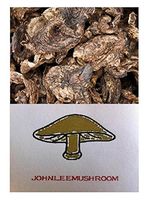 Sarcodon Aspratus Mushroom Dried 715 Gram