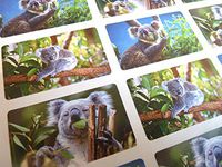 24 Koala Bear, Wildlife Animal Self-Adhesive Labels Stickers for Kids & Craft