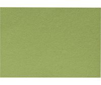 A6 Flat Card (4 5/8 x 6 1/4) - Avocado (50Qty) | Perfect for Personal Stationery, Invitation Suite Inserts, Casual Correspondence and much more! | EX4030-27-50