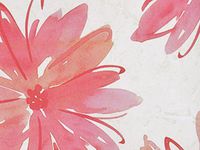 PINK ALL OVER 24"x417'Gift Wrap Counter Roll (1 unit, 1 pack per unit.)