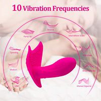 Invisible Rechargeable Rabbit Toy Remote Powerful Underwear USB Rechargable Silent Panty Women 10 Frequency Adult Toy