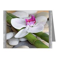 Note Card Orchid Bamboo and River Stones