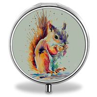 Compact 3 Compartment Medicine Case, IMLONE Customized Squirrel Pill Organizer Metal Pill Box Pill Container for Purse, Travelling and Daily Needs