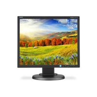 NEC MultiSync EA193MI-BK 19 inch 25,000:1 6ms VGA/DVI/DisplayPort LED LCD Monitor, w/ Speakers (Black) (EA193MI-BK)