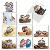 Assortment of 10 Blank Greeting Cards for Every Occasion - ‘Cards from the Hedge’ Hedgehog Fun Note Card (4 x 5.12 Inch) Stationery Set with White Envelopes M6541OCB
