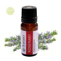 Rosemary Essential Oil Pure Natural Therapeutic Grade 10 ML