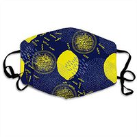Lemon Dust-Proof Mask Earloop Face Mask Reusable Washable Mouth Masks for Outdoor Cycling Camping