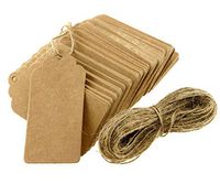 100pcs Brown Kraft Paper Hang Tags Gift Price Party Wedding Label Cards + 20m String by DELIAWINTERFEL