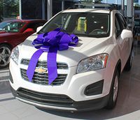 30" Magnetic Car Bow - Made in USA (Purple)