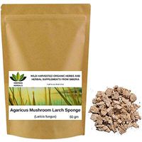 Wild Harvested Organic Chopped Agaricus Mushroom Larch Sponge (Laricis Fungus) Агарикус. Литвиничная губка.Fresh Harvest.Direct from Siberia. (50 gm)