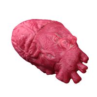 smallwoodi Halloween Decoration Props Scary Bloody Fake Hand Foot Finger Brain Heart Horror Props Broken Hand Broken Limbs Whole Blood Hand Blood Foot Prosthetic Intimidation 6#