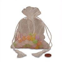 White Organza Favor Bags with Tassels 3 1/2" X 5" | Quantity: 20