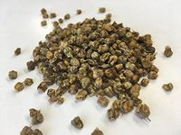 野菊花 | Wild Indian Chrysanthemum