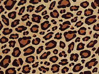 5ct. Animal Print Tissue Paper 15"x20" Sheets Gift Wrap Leopard Zebra Paw Giraffe (Standard Leopard) ngKE1952