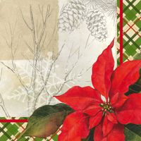 Cocktail Size Paper Napkin,Heaven & Nature Sing