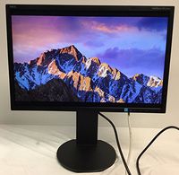 NEC Display Widescreen LED EA223WM-BK 22-Inch Screen LED-Lit Monitor