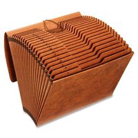 Pendaflex Heavy Duty Expanding File with Extra-Thick Cover, Tyvek Reinforced Edges, 21 Pockets, A-Z Tabs, Elastic Cord Closure, Letter Size (R117ALHD)