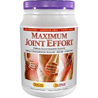 Andrew Lessman Maximum Joint Effort - 60 Packets – Research Established Ingredients and Levels for Support of Healthy Joints. with Glucosamine Sulfate, Chondroitin Sulfate, MSM and Curcumin