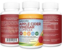 Paleovalley: Apple Cider Vinegar Complex - Digestive Support - 90 Capsules - Organic Ingredients - Help Stabilize Blood Sugar - Manage Appetite - Improve Protein Absorption