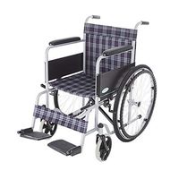 ChenCheng Wheelchair, Steel Pipe Spraying Elderly Disabled Hand Push Wheelchair, Lightweight Folding Portable Travel Medical Supplies