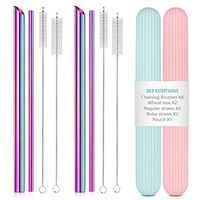 Reusable Metal Stainless Steel Straws by RayPard: 2 Regular Metal Straws + 2 Metal Boba Straws + 2 Travel Cases + 4 Cleaning Brushes + 1 Pouch, Portable for Personal Use (Rainbow)