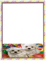 Puppies With Balls Stationery Printer Paper 26 Sheets