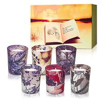 LAOHAO Aromatherapy Candles Colored Glass Smokeless Soy Wax Plant Essential Oil 6pcs Burnable 15H Indoor Aromatherapy