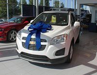 30" Magnetic Car Bows - Blue