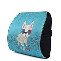 SPLY DTEM Memory Foam Waist Cushion - Premium Lumbar Support Pillow Lower Back Pain Relief, Protect and Soothe Your Back - Improve Your Posture - Soft and Sturdy Balanced Chair Pillows.