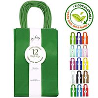 12CT Small Green Biodegradable, Food Safe Ink & Paper, Premium Quality Paper (Sturdy & Thicker), Kraft Bag with Colored Sturdy Handle