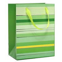 12ea - 10-1/4 X 4-3/4 X 12-5/8 Green Multi Stripes Eurot Gusset - 4 3/4"