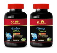 Brain Memory Supplement - Ginkgo BILOBA 50:1 Extract 120MG - Pills for Men - 2 Bottles (100 Capsules)