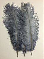 KOLIGHT20pcs Ostrich Feather Gray 12"-14" Natural Feathers Wedding, Party,Home,Hairs Decoration
