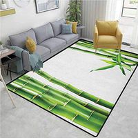 YucouHome Nautical Area Rug Bedroom, Branches of Bamboo Board Stalk Tropics Plants Greenery Fengshui Natural Lush, Fashionable High Class Living Bedroom Rugs(2.5'x 9') Fern Green White