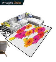 YucouHome Letter S Flowers Door Mat Outdoor Waterproof, Fragrance C Garden Flourishing Nature Essence of Nature in Alphabet, Fashionable High Class Living Dinning Room(8'x 10') Orange Hot Pink Green