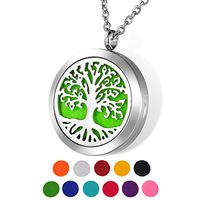 HOUSWEETY Aromatherapy Essential Oil Diffuser Necklace-Stainless Steel Locket Pendant,11 Refill Pads(Engraving)
