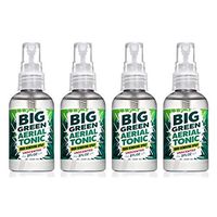 Big Green Smoke Odor Eliminator Spray Unscented | Removes Smell from Cars, Bathrooms, Homes 2oz (Pack of 4)