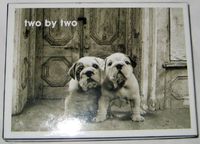 Papyrus Two By Two Puppies Notecards (419056), Set of 20, 4 Designs