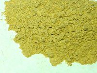 Astragalus Root Powder 1lb