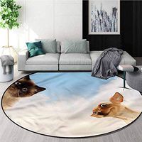 RUGSMAT Funny Anti-Skid Area Rug,Puppy and Kitty On Clouds Protect Floors While Securing Rug Making Vacuuming Round-55