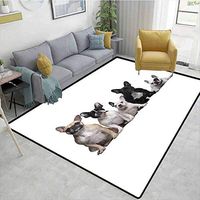 Bigdatastore Bulldog Flowers Door Mat Outdoor Waterproof, Group of Young French Bulldogs with Adorable Expressions Animal Lover Photo, Fashionable High Class Living Dinning Room(8'x 10')