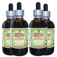 Mesquite (Prosopis Pallida) Glycerite, Organic Dried Seed Pods Alcohol-Free Liquid Extract (Brand Name: HerbalTerra, Proudly Made in USA) 4x4 fl.oz (4x120 ml)