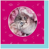 BirthdayExpress Rachael Hale Party Supplies Cats Rule Napkins