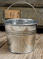 Wayfair Galvanized Tiny 4in Metal Buckets with Handles