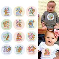 Stebcece 12 Pcs Month Sticker Baby Photography Milestone Memorial Monthly Newborn Kids Commemorative Card Number Photo Props Accessories