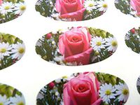 Minilabel Pack Of 30 , Pink Rose Flower Seals , 51X25mm Oval Seal Labels, Stickers For Gift Wrapping, Presents, Envelopes, Bags Or Cards